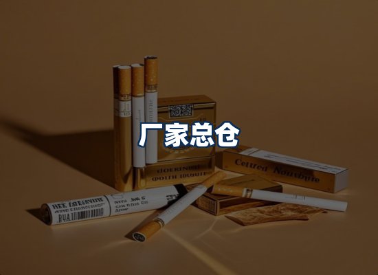 专业团队办公环境